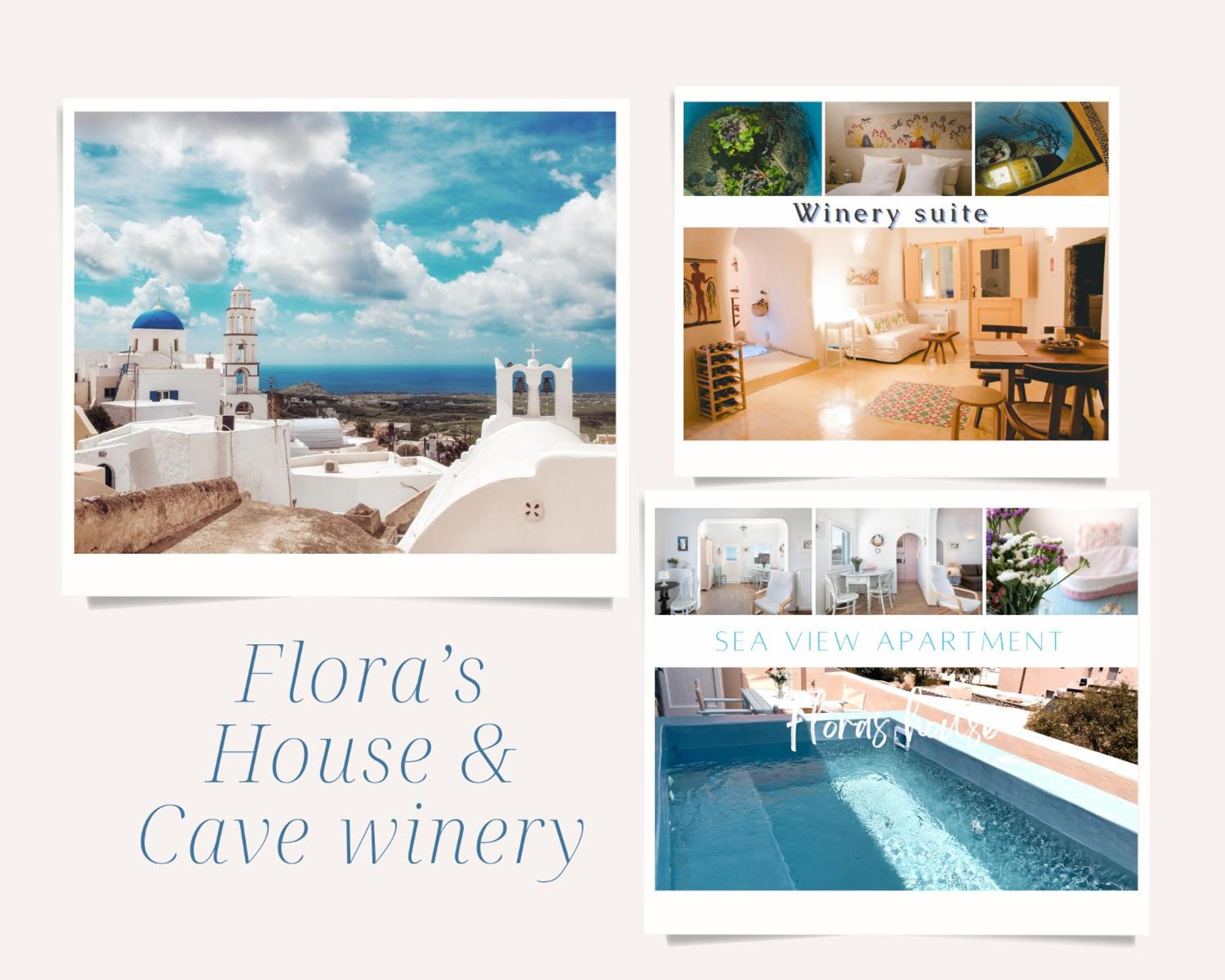 Villa Flora'S House & Cave Winery Pyrgos Kallistis Exterior foto